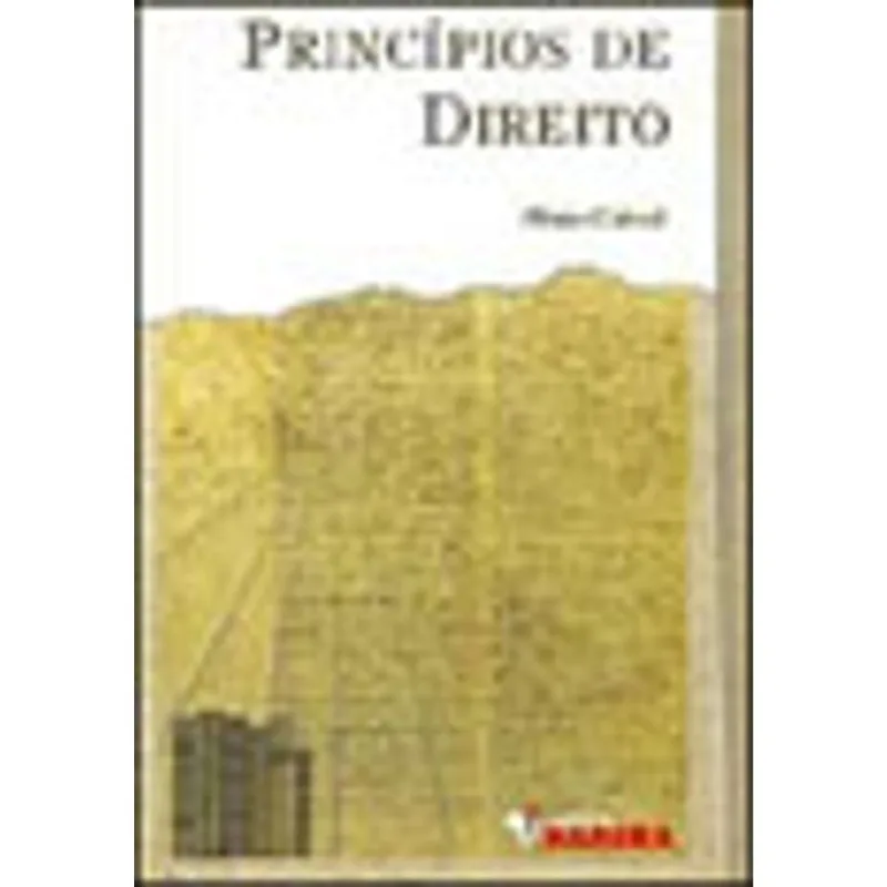 PRINCIPIOS DE DIREITO