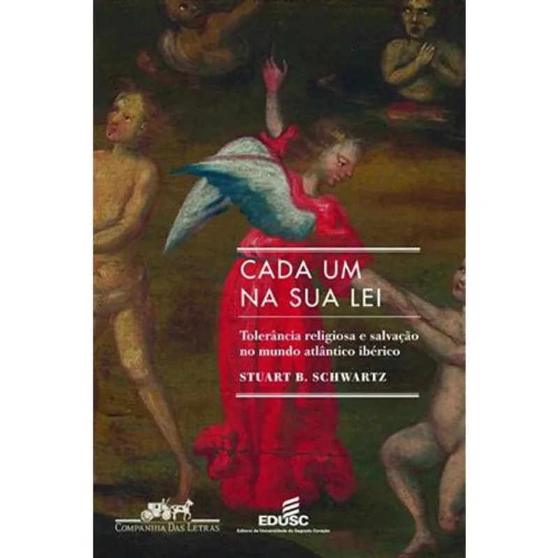 Livro Cada Um Na Sua Lei Companhia Das Letras (MP)