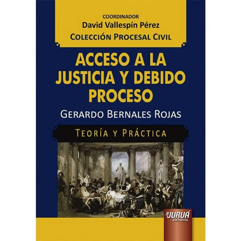 ACCESO A LA JUSTICIA Y DEBIDO PROCESO - TEORÍA Y PRÁCTICA