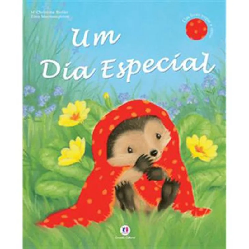 Livro Um Dia Especial Ciranda Cultural (MP)