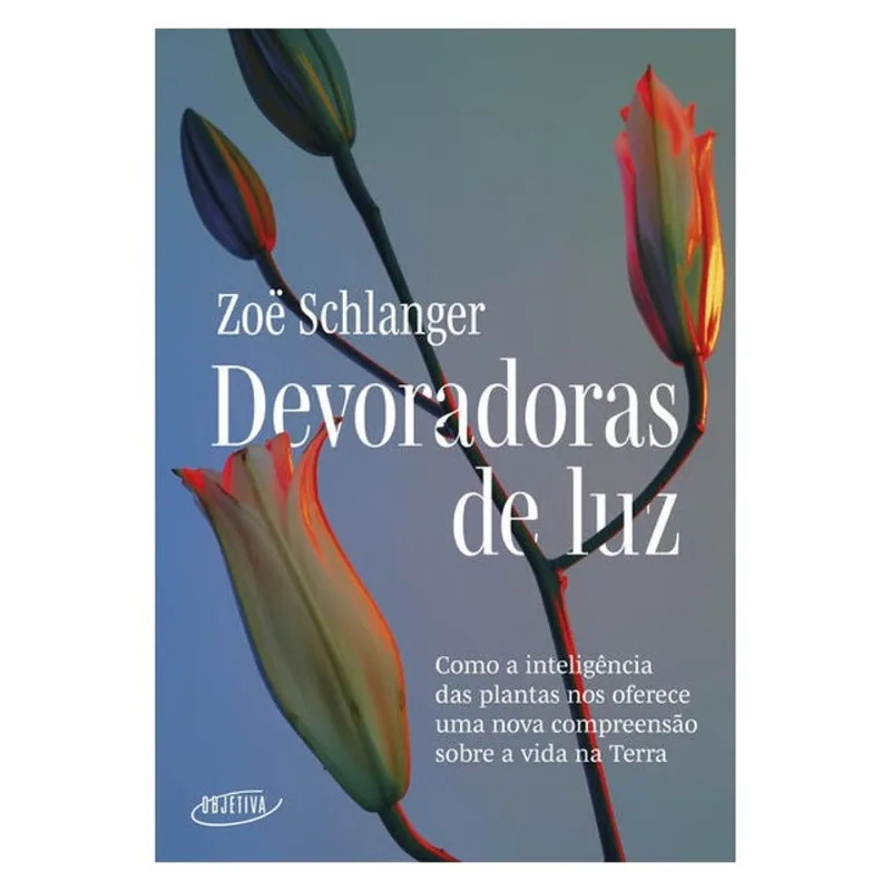 DEVORADORAS DE LUZ