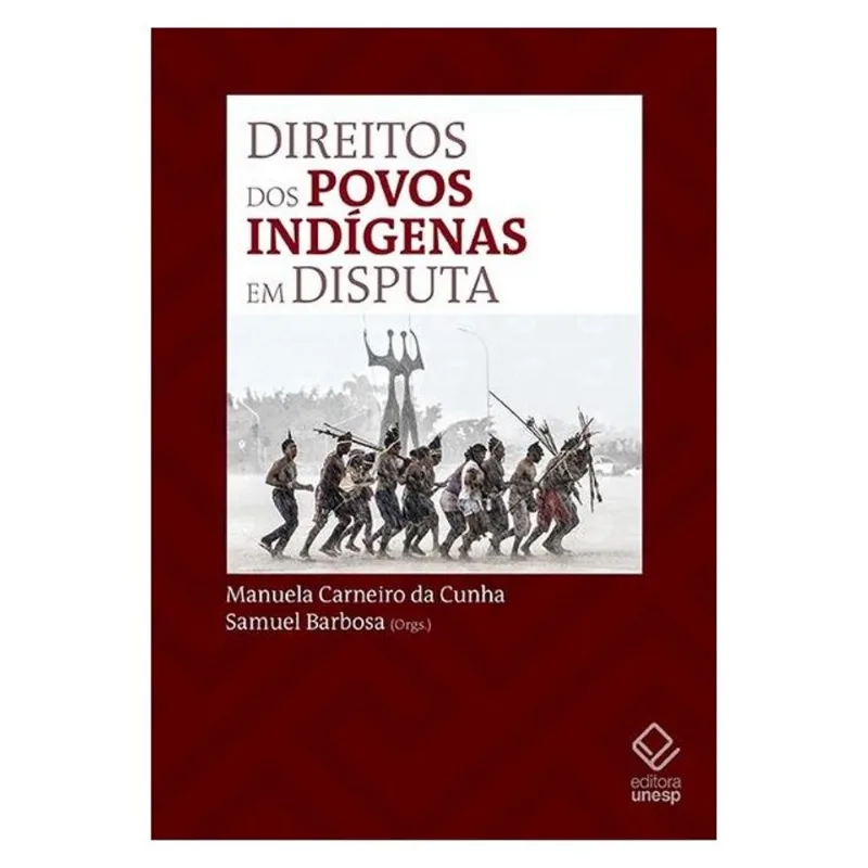 DIREITOS DOS POVOS INDÍGENAS EM DISPUTA