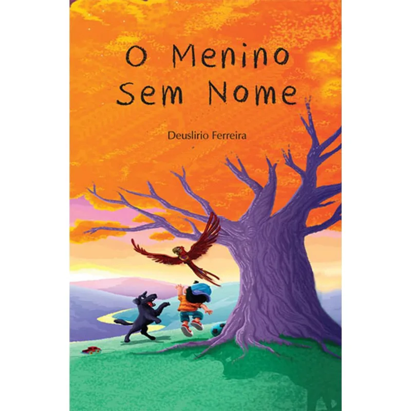 MENINO SEM NOME, O