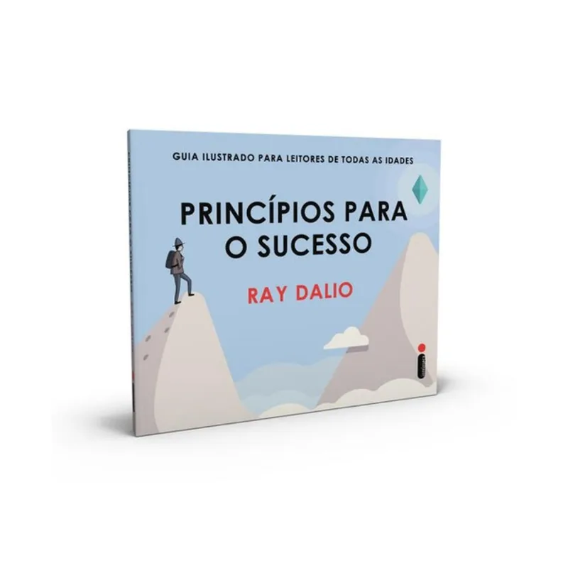 PRINCÍPIOS PARA O SUCESSO
