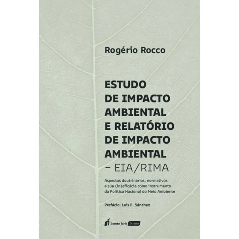 ESTUDO DE IMPACTO AMBIENTAL E RELATÓRIO DE IMPACTO AMBIENTAL - EIA/RIMA - 2025