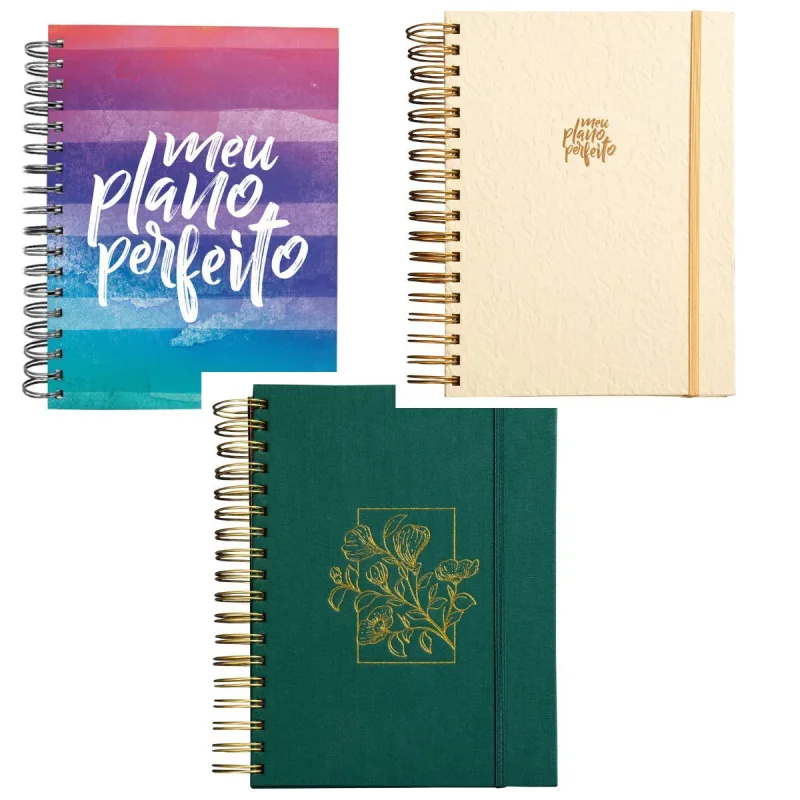 Coleção Planners Catavento Meu Plano Perfeito - Catavento