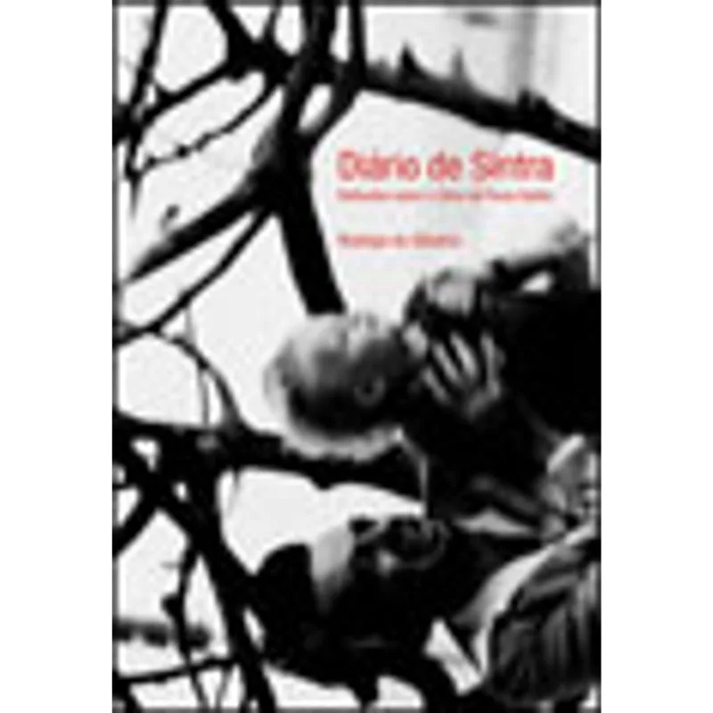 DIARIO DE SINTRA - REFLEXOES SOBRE O FILME DE PAULA GAITAN