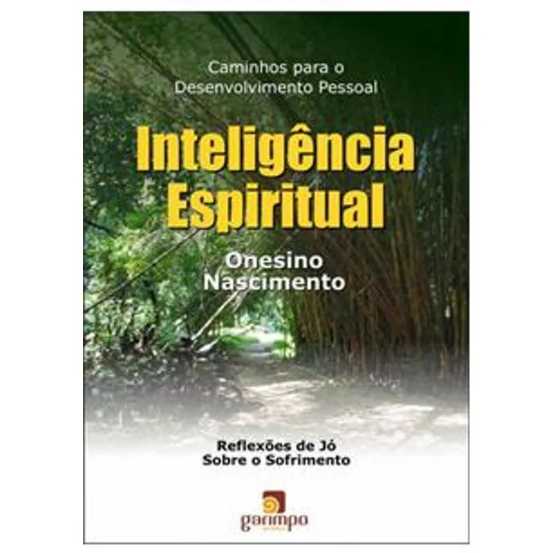 INTELIGÊNCIA ESPIRITUAL