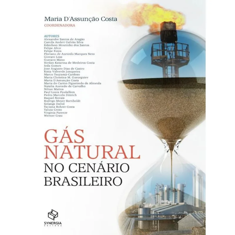GÁS NATURAL NO CENÁRIO BRASILEIRO