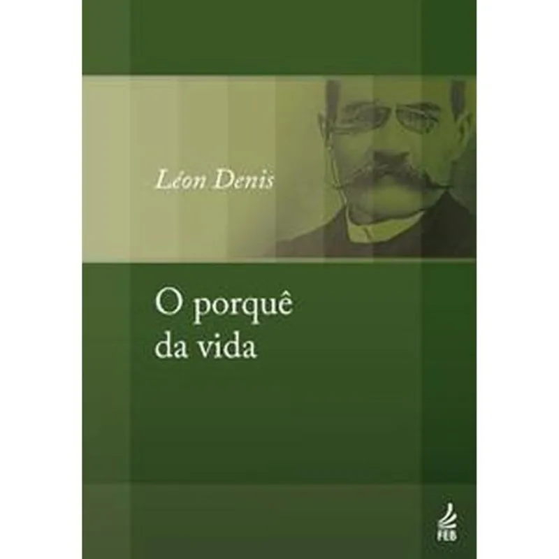 Livro O Porquê Da Vida Feb Editora (MP)