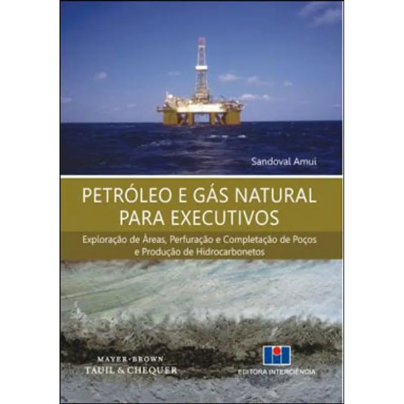 PETRÓLEO E GÁS NATURAL PARA EXECUTIVOS