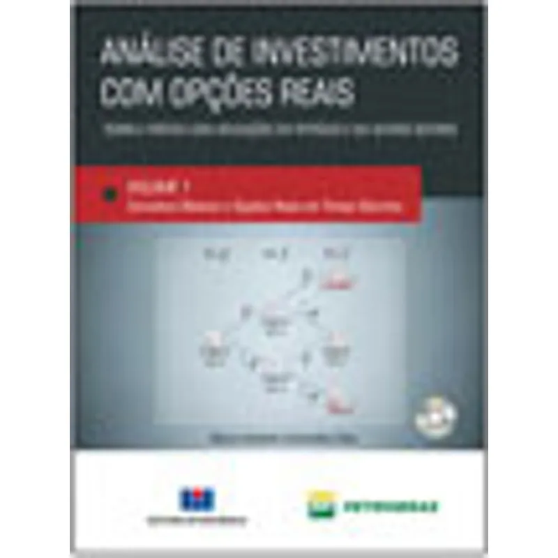 ANÁLISE DE INVESTIMENTOS COM OPÇÕES REAIS - TEORIA E PRÁTICA COM APLICAÇÕES EM PETRÓLEO E OUTROS SET