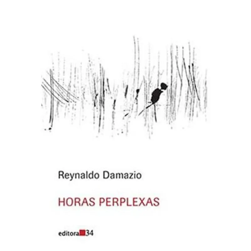 Livro Horas Perplexas Editora 34 (MP)