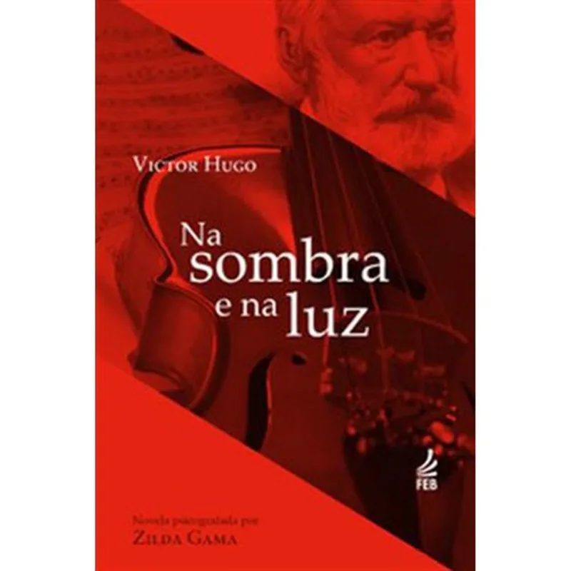 Livro Na Sombra E Na Luz Feb Editora (MP)