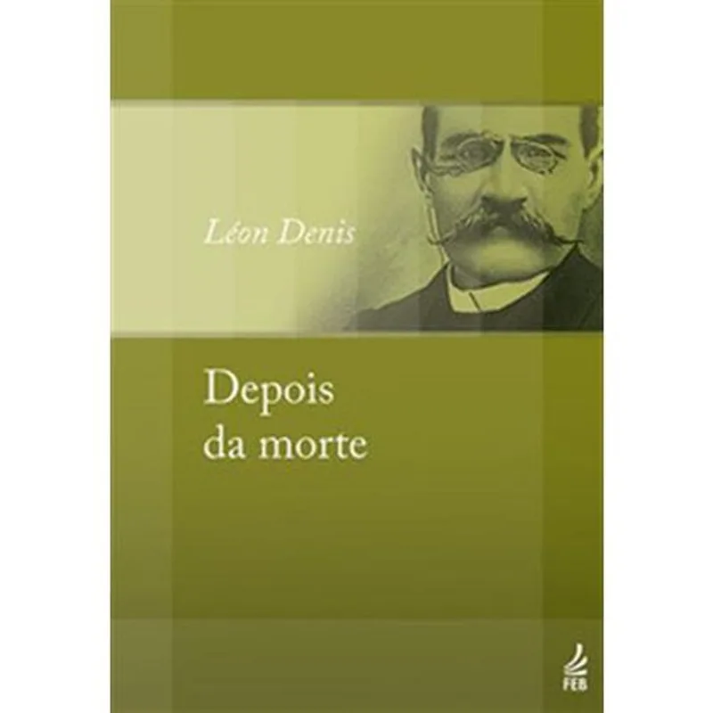 Livro Depois Da Morte Feb Editora (MP)