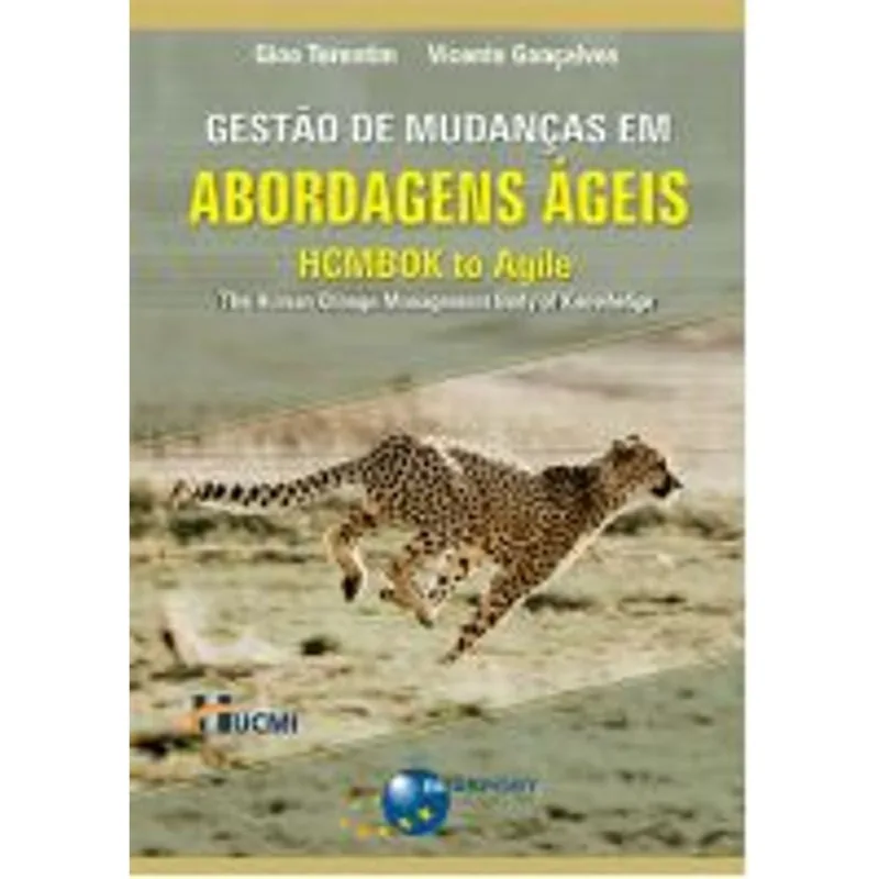 GESTÃO DE MUDANÇAS EM ABORDAGENS ÁGEIS - HCMBOK TO AGILE