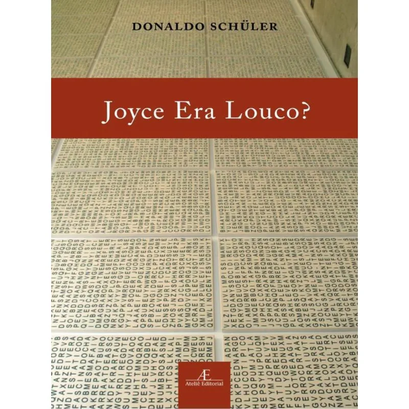 JOYCE ERA LOUCO?