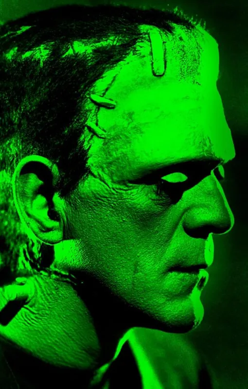 Frankenstein - Capa Dura - LC - Livros
