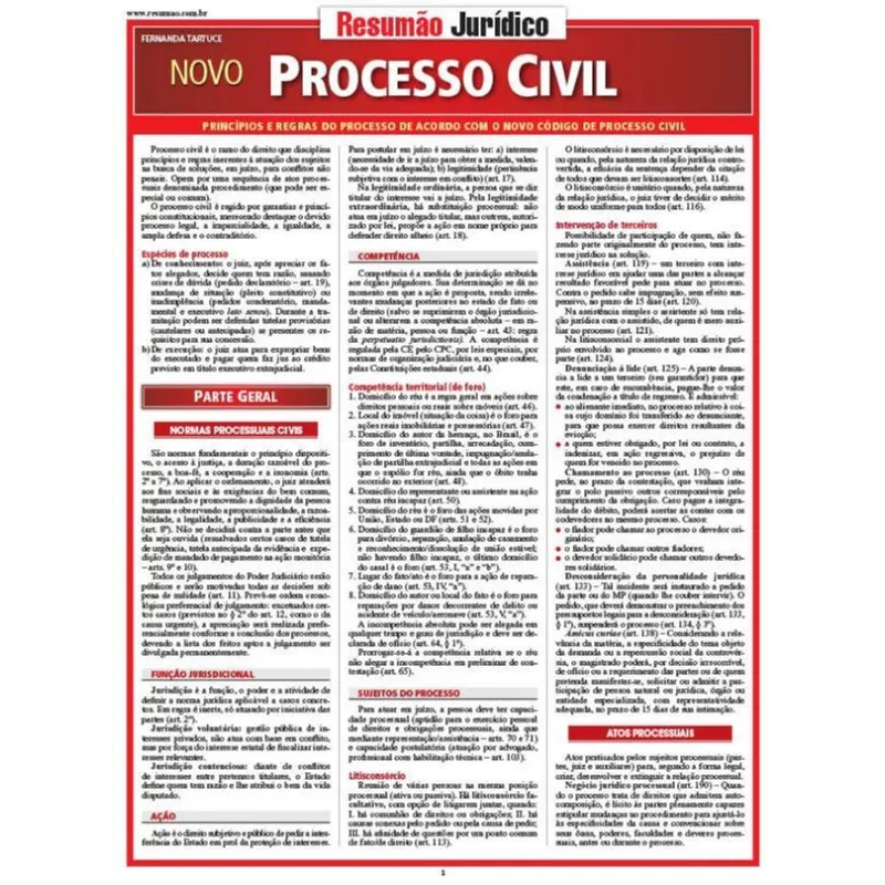 NOVO PROCESSO CIVIL