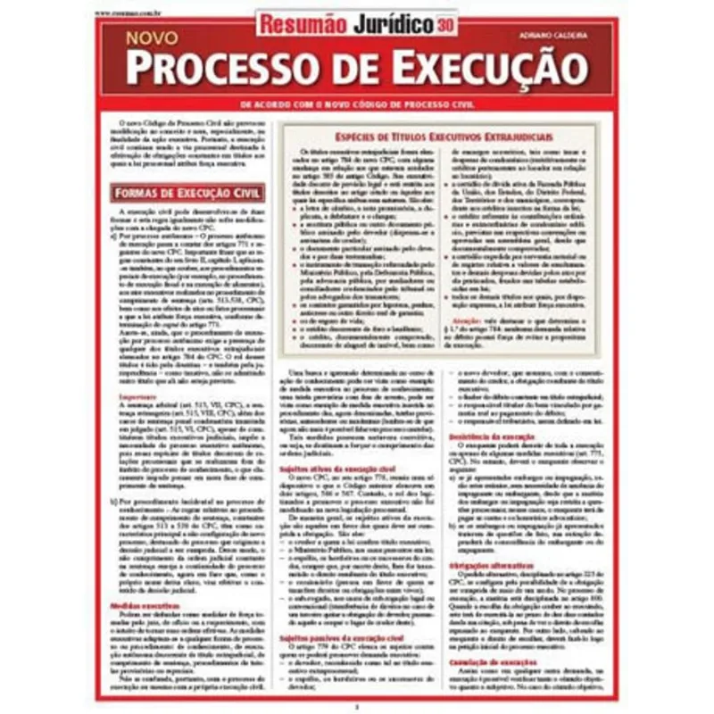 NOVO PROCESSO DE EXECUÇÃO