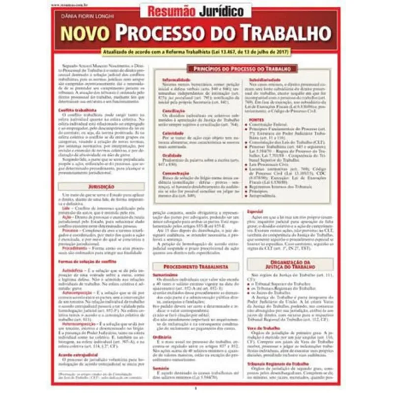 NOVO PROCESSO DO TRABALHO