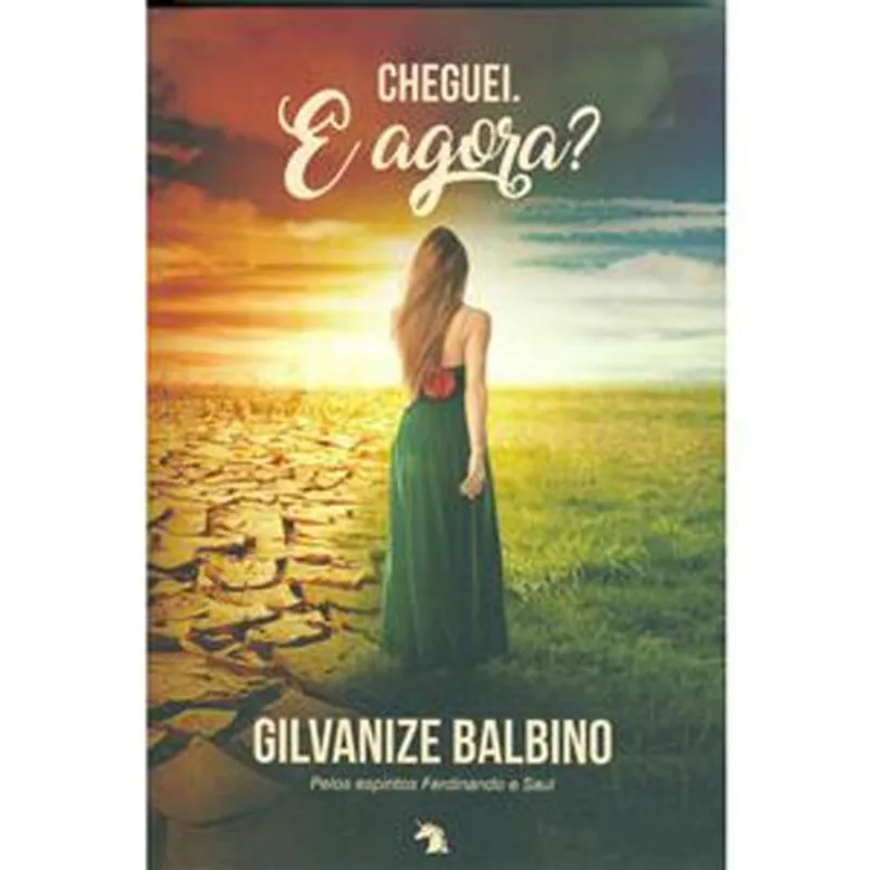 Livro Cheguei. E Agora? Vida E Consciência (MP)