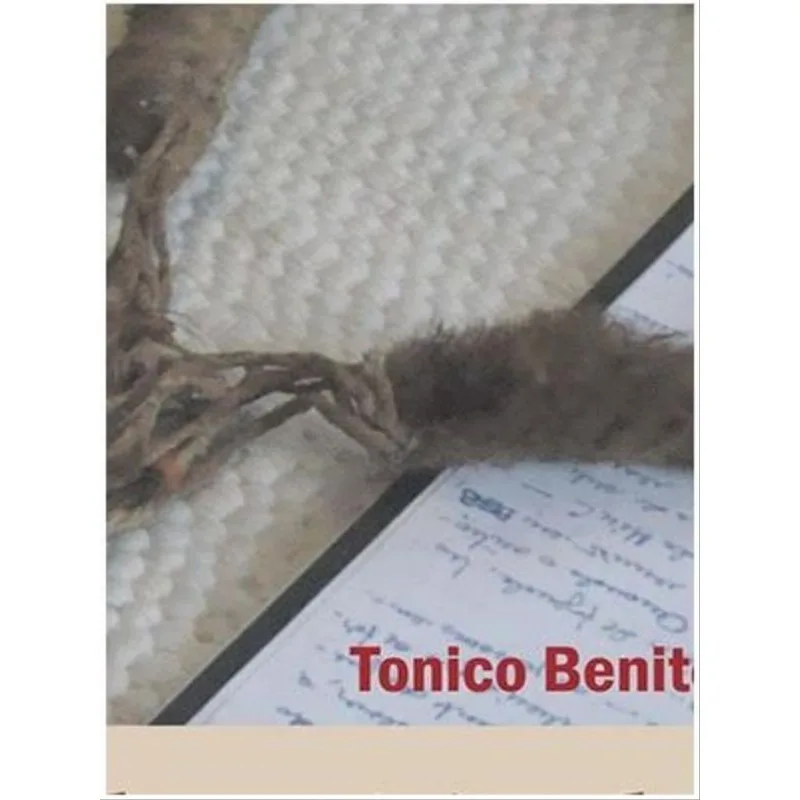 A ESCOLA NA OTICA DOS AVA KAIOWA