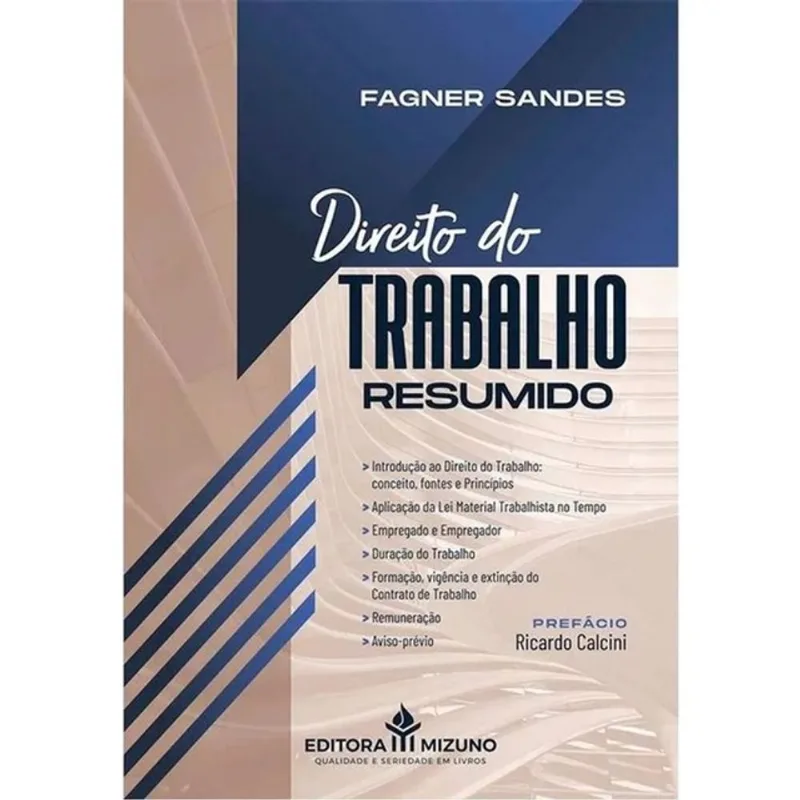 DIREITO DO TRABALHO RESUMIDO - 2026