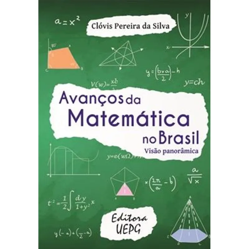 AVANÇOS DA MATEMÁTICA NO BRASIL - VISÃO PANORÂMICA