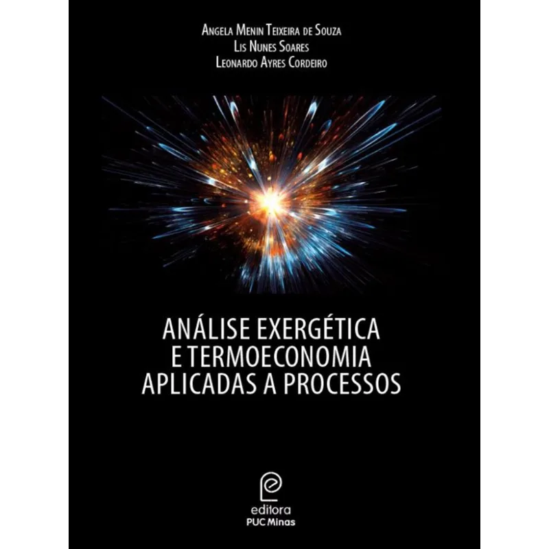 ANÁLISE EXERGÉTICA E TERMOECONOMIA APLICADAS A PROCESSOS