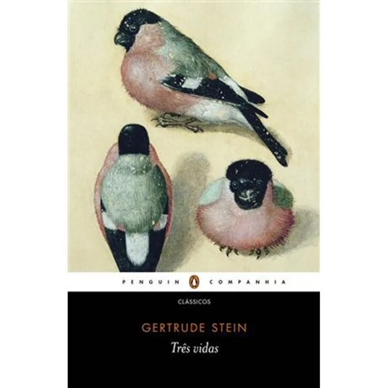 Livro Três Vidas Penguin-companhia (MP)