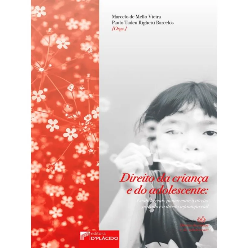 DIREITO DA CRIANÇA E DO ADOLESCENTE