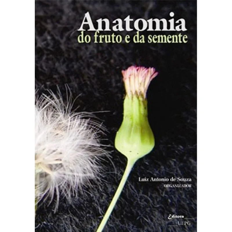 ANATOMIA DO FRUTO E DA SEMENTE