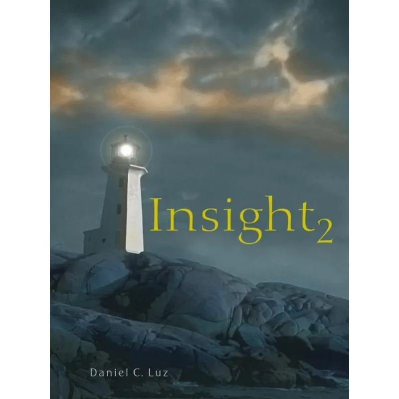 INSIGHT 2
