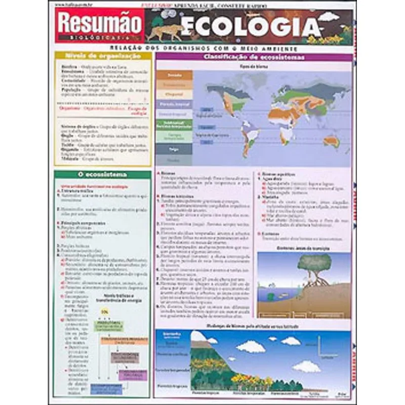 ECOLOGIA