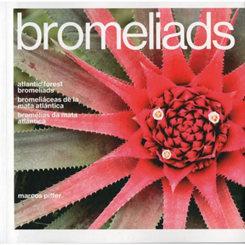 BROMELIADS - BROMELIAS DA MATA ATLANTICA