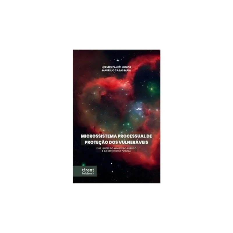 MICROSSISTEMA PROCESSUAL DE PROTEÇÃO DOS VULNERÁVEIS - 2025