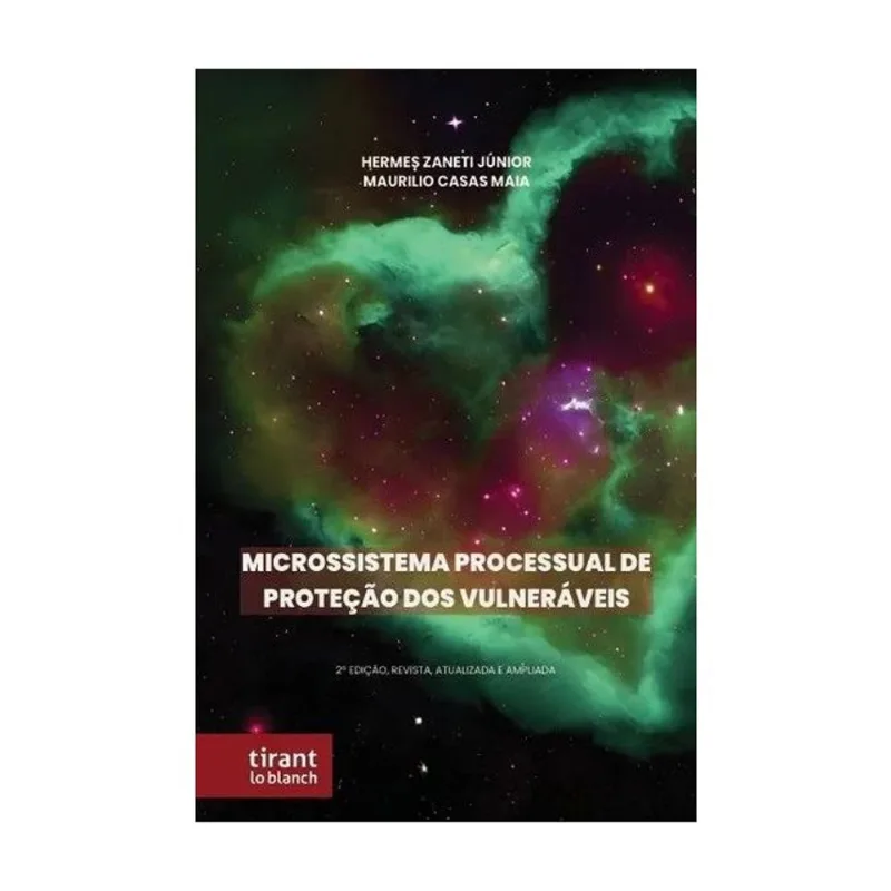 MICROSSISTEMA PROCESSUAL DE PROTEÇÃO DOS VULNERÁVEIS - 2025