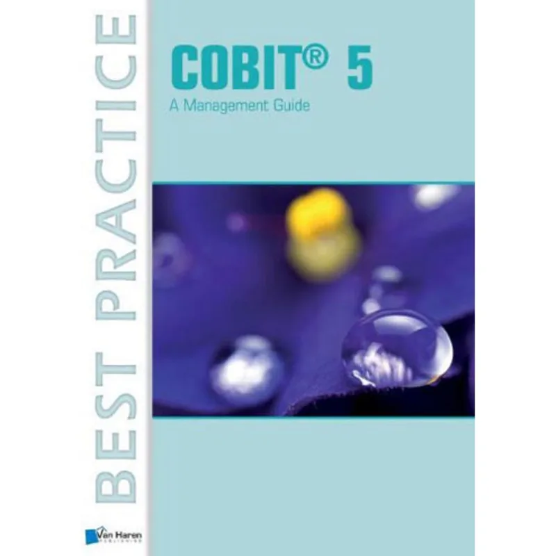 COBIT 5 - A MANAGEMENT GUIDE
