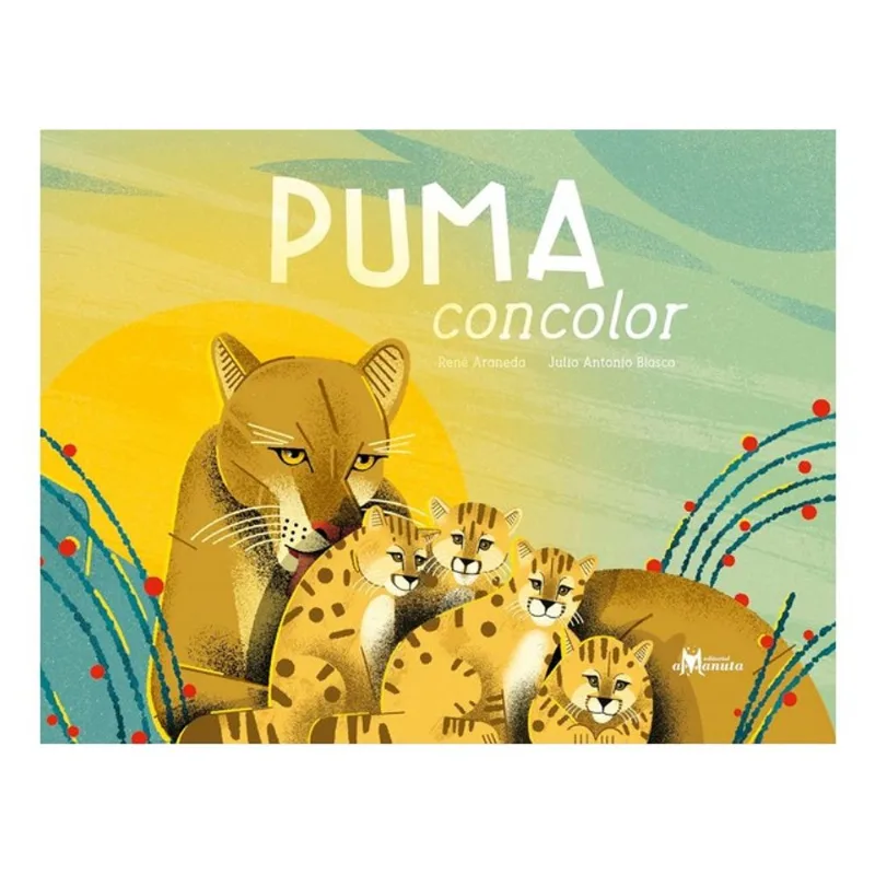 PUMA CONCOLOR