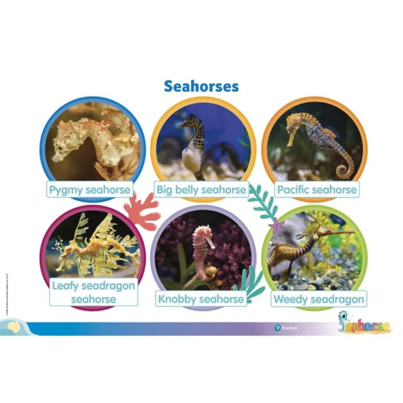 SEAHORSE NURSERY POSTERS