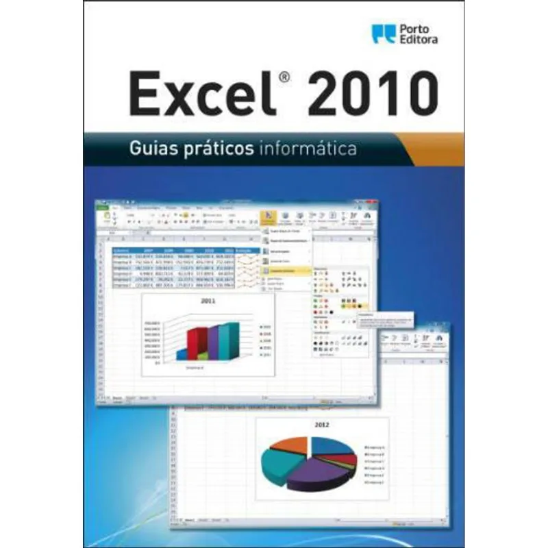EXCEL 2010