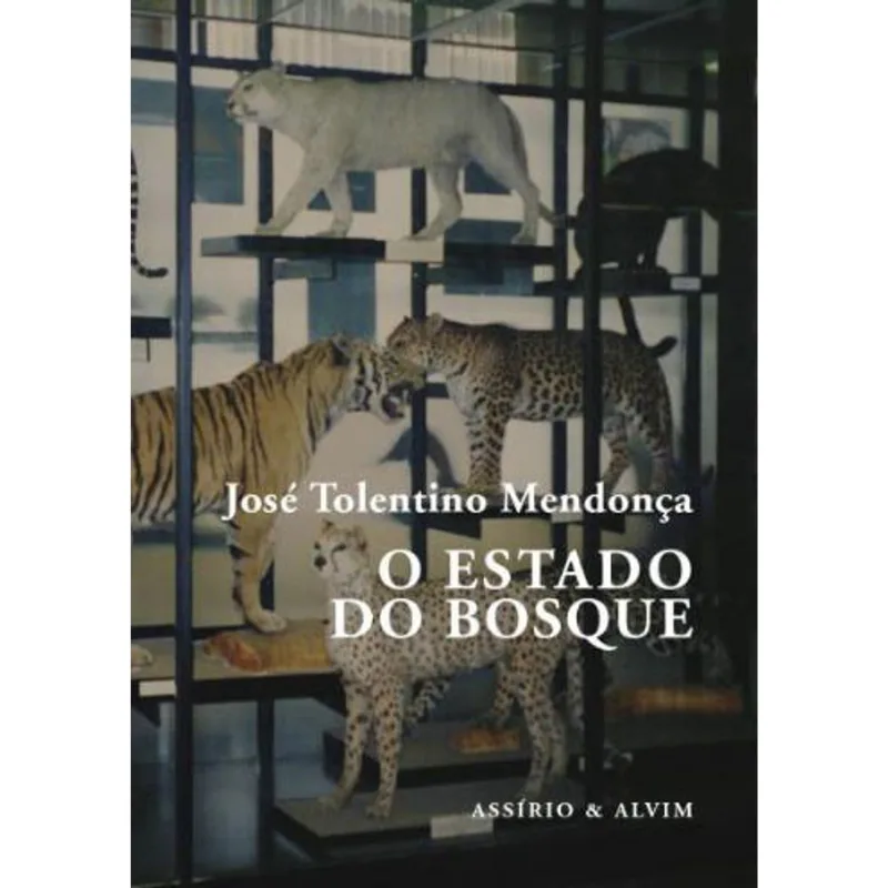 ESTADO DO BOSQUE, O