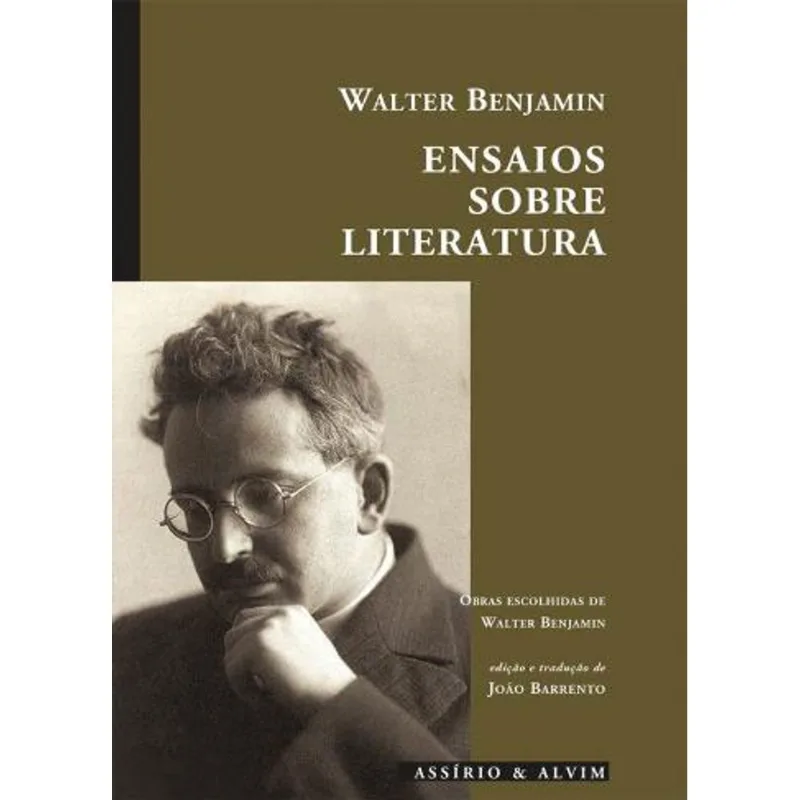 ENSAIOS SOBRE LITERATURA
