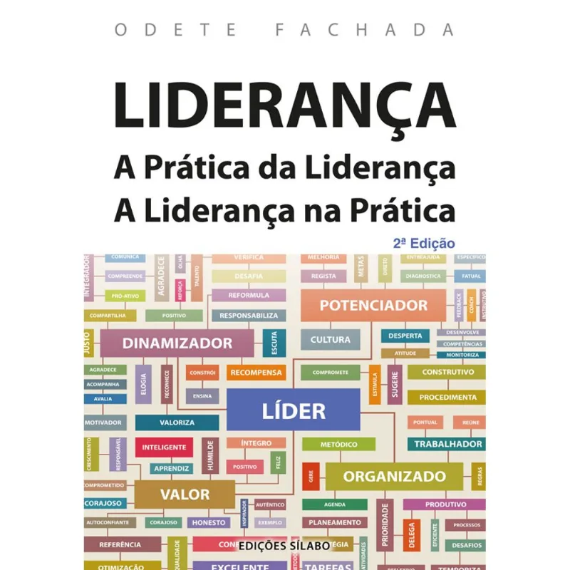 LIDERANÇA - A PRÁTICA DA LIDERANÇA - A LIDERANÇA NA PRÁTICA