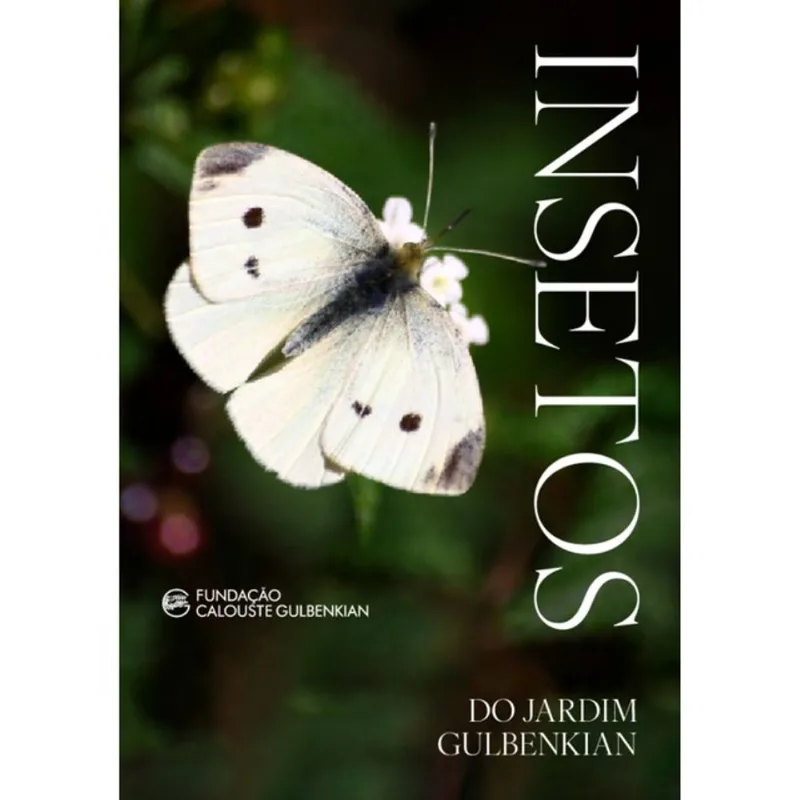 INSETOS DO JARDIM GULBENKIAN