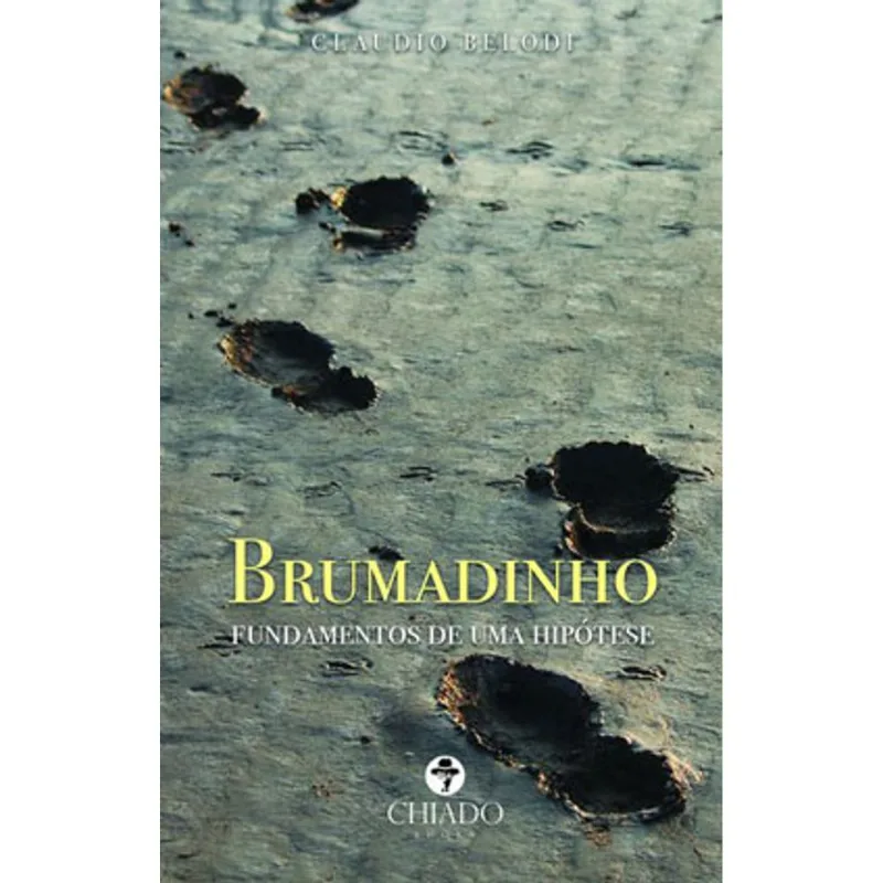 BRUMADINHO - FUNDAMENTOS DE UMA HIPÓTESE