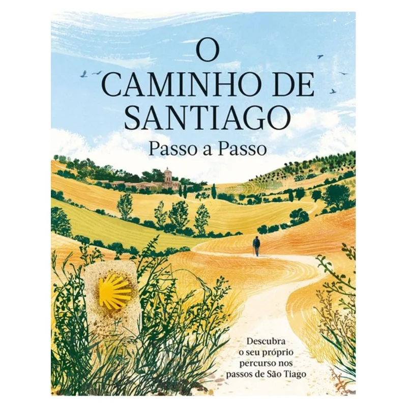 O CAMINHO DE SANTIAGO PASSO A PASSO
