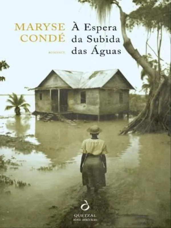 À Espera Da Subida Das Águas - Não Informado - Livros
