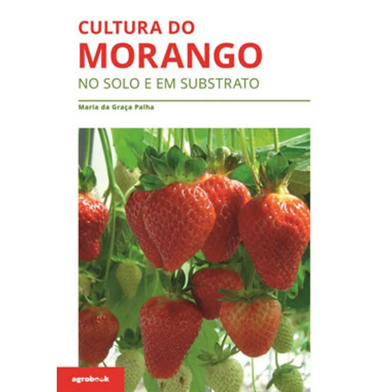 CULTURA DO MORANGO